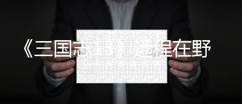 略程在国志将录远野武用攻三