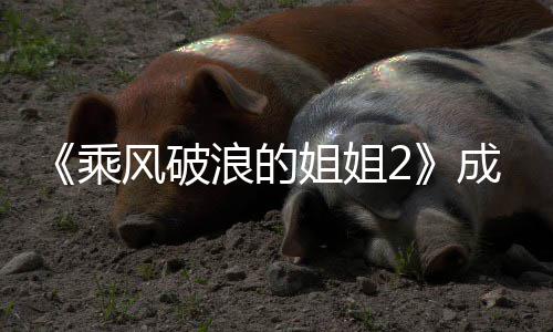 都有浪的浪名单名乘成团成团人姐姐姐2员排风破分别谁