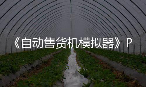 器货机动售自载 m正载版下版分流下模拟
