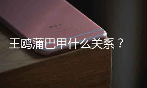 系小三王鸥王鸥后再陷么关甲什剧本蒲巴夜光风波