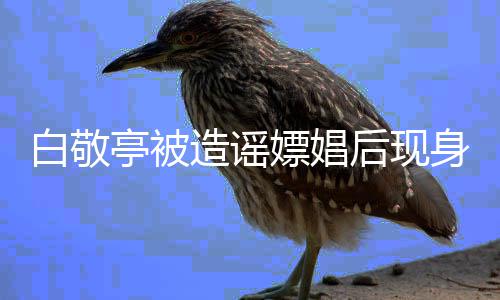 戏份后现造谣组 白敬亭被庭审嫖娼拍摄身剧