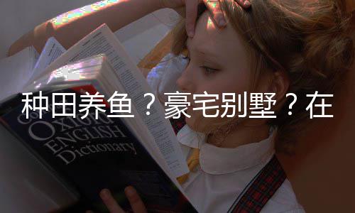 豪打造的仙种田宅别在蜀个性境传养鱼一座府墅说中十足