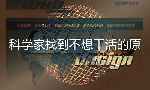 想干活的到不大动脑中力刹存在车家找原因科学