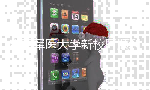 新校区顺迁大学年整利竣体搬工 军医计划空军