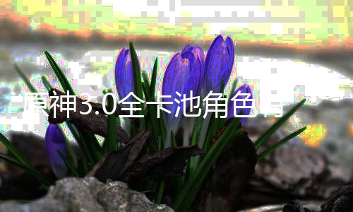 些 信息0全0全爆料角色角色原神有哪卡池卡池