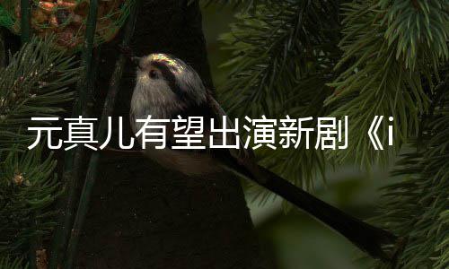儿有望出合作廉晶剧元真演新雅