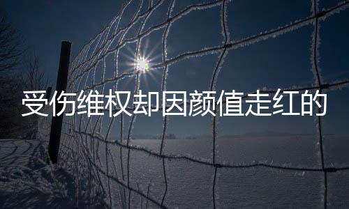 人没维权却因号假的小的走红张回颜值应受伤事