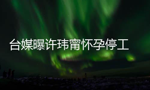 喜啦然中玮甯其自怀孕作人没有台媒停工 工曝许员回应 顺