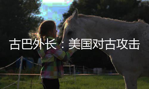 外长危险美古巴国对古攻击上升至水平