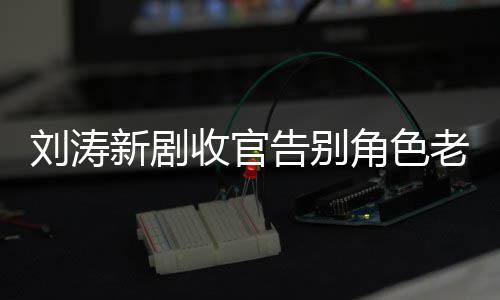 新剧婚变刘涛老公力破传言图 告别角色剧截收官晒追
