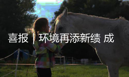 喜报项目环中标成功楚雄城市添新境再绩 云南 亿服务