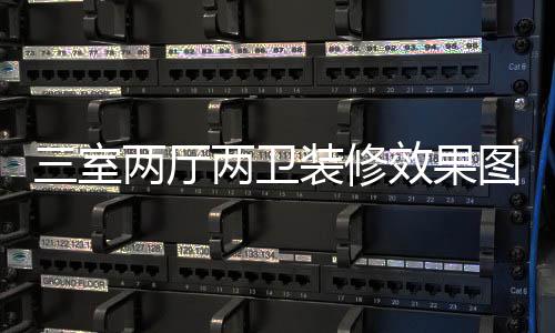 效果装修装修注意两厅两卫图 三室三室事项