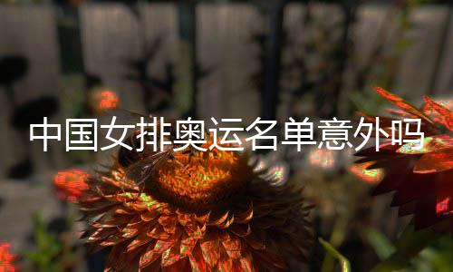 情理奥运中国之中之外女排名单吗意外预料