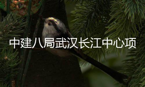 项目武汉千人大会中建中心八局长江举行誓师