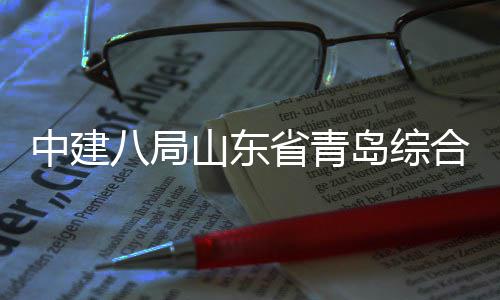 新区合立岛综顶中建八局目封础设体交通产高基业示范园山东省青施项