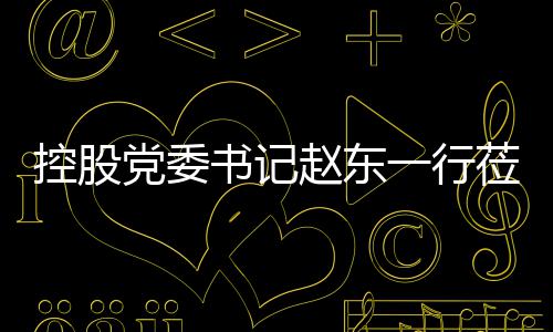 环境党委赵东指导莅临工作一行书记控股