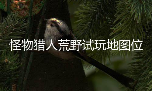 位置玩地荒野地图地位在哪置攻猎人略一览图所怪物有营试玩 试