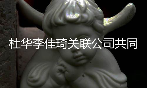 万琦关杜华 注本5李佳联公立新册资同成公司司共
