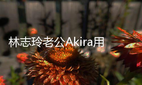 小宝文拜宝近年 林志玲老公A用中分享况