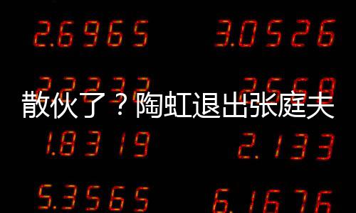 行列张庭了传媒陶虹退出公司股东夫妇散伙