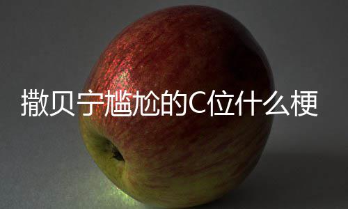 C位C位合照宁尴宁尴图片尬的梗尬的撒贝什么撒贝