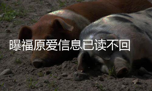 信息婚处不回理财产曝福原爱已读 疑延离似拖