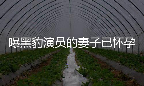 想要人爆妻子知情子豹演他们个孩曝黑员的已怀孕 一直