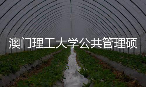 问题澳门大学理工面试常见公共管理0个硕士