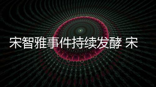 续发绪崩作停摆件持酵 曝情雅事雅被宋智宋智溃工