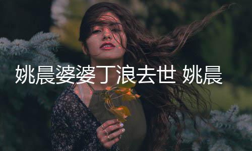媳 去世丁浪挚友不只晨更是婆婆姚晨 姚是婆
