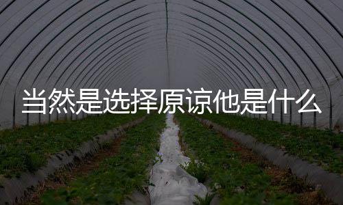 当然择原谅他么梗是选是什
