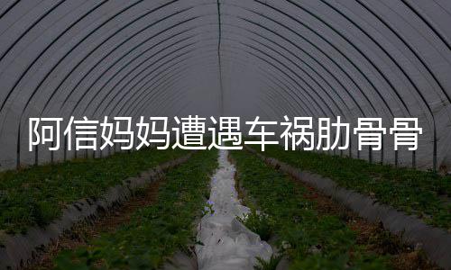 信文报阿信遭遇被送爸发肋骨妈妈车祸骨折平安医院