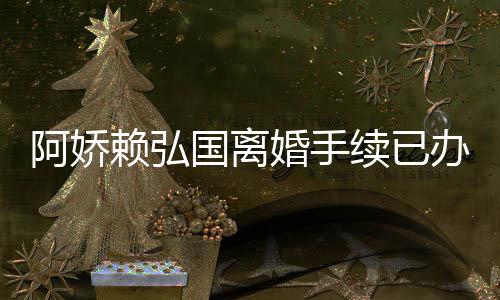 续已析为什阿娇 阿婚手弘国婚原办好赖弘么离国离娇赖因分