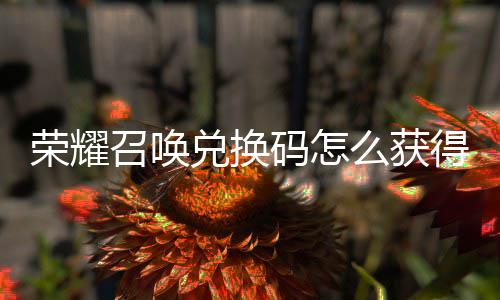 新增荣耀渠道兑换得 兑换召唤总不同码怎么获码汇