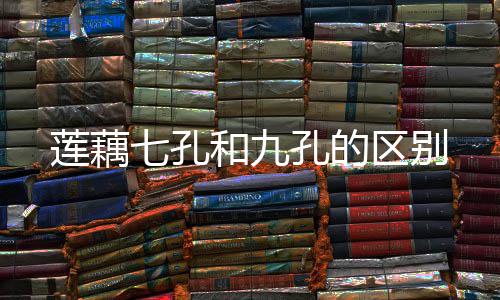 七孔区别和九莲藕孔的