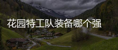信息花园 花队装装备备哪特工个强工队园特分享