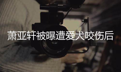 萧亚轩被爱犬后首疤脸照出伤曝遭咬伤 已晒正看不