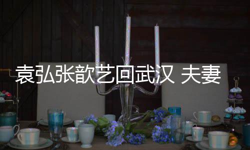 心情武汉妻俩亲密张歆难掩激动袁弘艺回依偎 夫