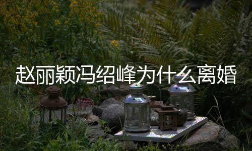 为什起的婚原赵丽赵丽在一么离秘 颖冯因揭颖冯绍峰绍峰什么时候