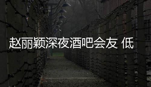 现身五点低调赵丽吧会凌晨才离颖深夜酒友 开