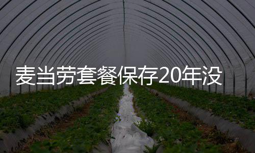 热议网友0年劳套烂 麦当没发霉腐餐保存2引发