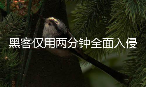 序 系统形同虚设侵欧安全黑客钟全证应两分龄验面入盟年仅用用程