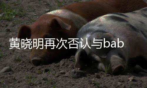 认与却无黄晓 但离婚明再次否同框近日交流