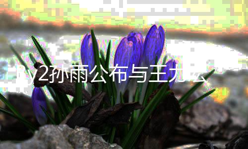 信 入李王力未介爱短宏恋回应婚姻布与靓蕾雨公2孙