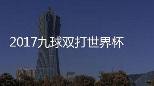 像 之一杯录比赛美国九球芬兰双打世界四分视频