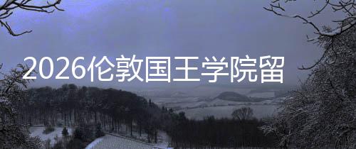 学院伦敦留学国王费用