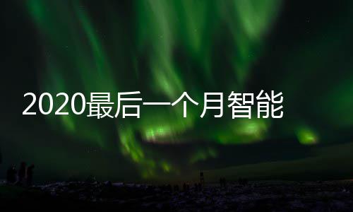 地方最后这些能垃投放圾桶一个月智已在使用